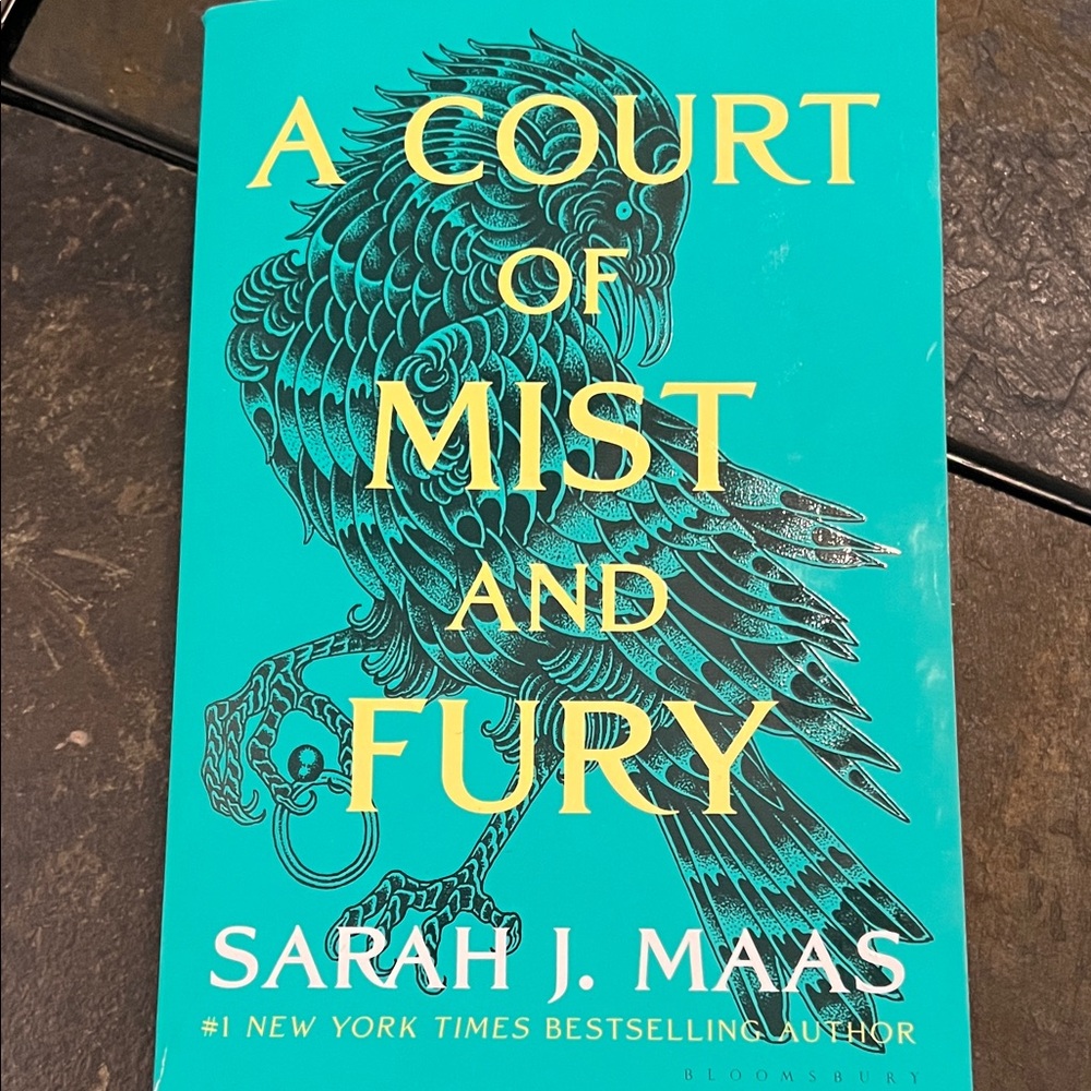 NWT-A Court of Mist and Fury Book by Sarah Maas